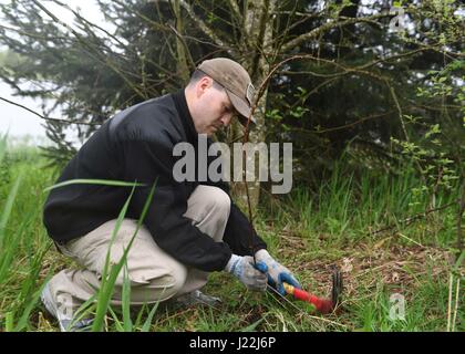 170419-N-WX604-067 EVERETT, Wash. (April 19, 2017) Legalman 2nd Class Benjamin Holmes, assigned to Naval Station Everett, volunteers at Union Slough to remove evasive species of plants during an Earth Day event.  Union Slough is part of the Port of Everett environmental restoration project where Sailors and Department of the Navy civilians teamed up with Earth Corps to protect the environment. (U.S. Navy photo by Mass Communication Specialist 3rd Class Joseph Montemarano/Released) Stock Photo