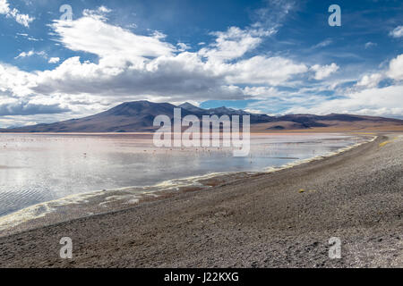 Laguna Colorada (Red Lagoon) in Bolivean altiplano - Potosi Department, Bolivia Stock Photo