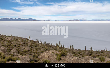 Incahuasi Cactus Island in Salar de Uyuni salt flat - Potosi Department, Bolivia Stock Photo