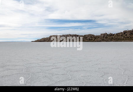 Salar de Uyuni salt flat and Incahuasi Cactus Island - Potosi Department, Bolivia Stock Photo