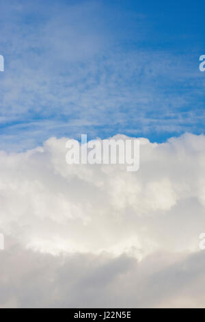 Cumulus cloudbank against a blue sky. Stock Photo