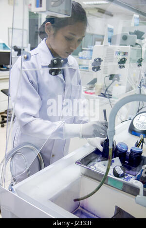 Technician works under safety hood of plastic in hospital laboratory. Stock Photo