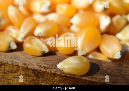 Corn beans on the edge of a wooden chest full of corn beans. Natural daylight. Stock Photo