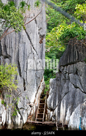 blur in philippines view from a boat of  palm cliff beach and rock from pacific ocean Stock Photo