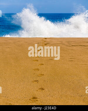 Footprints in the sand on a beach leading towards the sea with waves Stock Photo