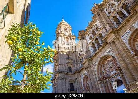 Bell tower and ornate facade of Malaga cathedral. Andalusia, Spain Stock Photo