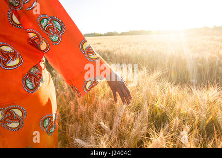 African woman in traditional clothes walking with her hand touching field of barley or wheat crops at sunset or sunrise Stock Photo