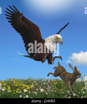 3D rendering of a glorious bald eagle hunting its prey, a rabbit. Stock Photo