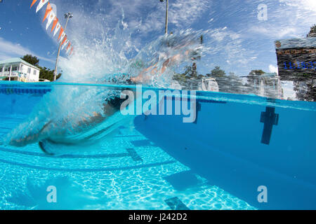Winter swim training at Jacobs Aquatic Center, December 2014, Duke University in Key Largo, Florida Stock Photo