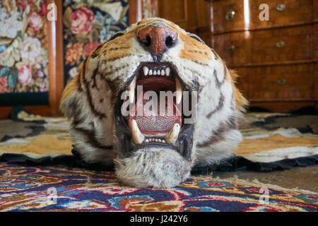 Tiger skin rug Stock Photo