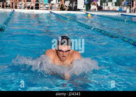 Winter Training at Jacobs Aquatic Center, Key Largo, Florida Keys, Duke vs. West Virginia University dual meet Stock Photo