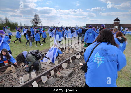 Auschwitz Birkenau, Poland. 24th April, 2017. On Holocaust Memorial Day (Yom HaShoah), thousands of participants march silently from Auschwitz to Birkenau, the largest Nazi concentration camp complex built during World War II. The March of the Living (Hebrew: מצעד החיים) is an annual educational program, which brings individuals from all over the world to Poland and Israel in order to study the history of the Holocaust and to examine the roots of prejudice, intolerance and hate. Credit: Rageziv/Alamy Live News Stock Photo