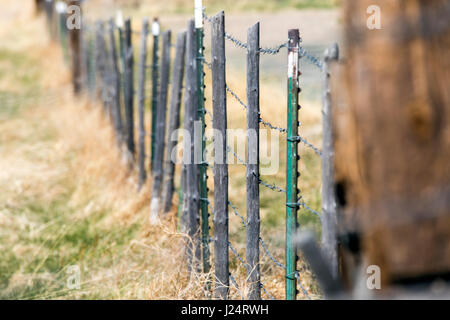 Barbed wire pasture fence; Vandaveer Ranch; Salida; Colorado; USA Stock Photo