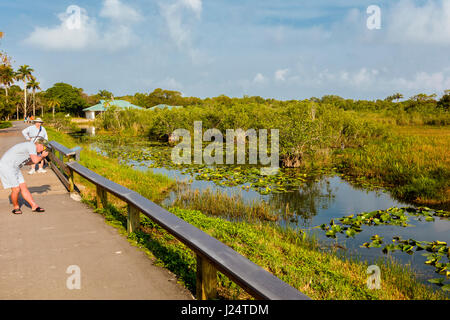 Visitor Center at the popular Anhinga Trail at the Royal Palms Visitor Center in the Everglades National Park Florida Stock Photo