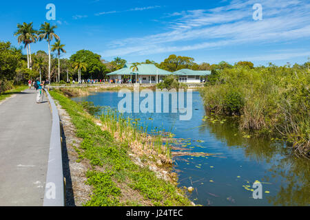 Visitor Center at the popular Anhinga Trail at the Royal Palms Visitor Center in the Everglades National Park Florida Stock Photo