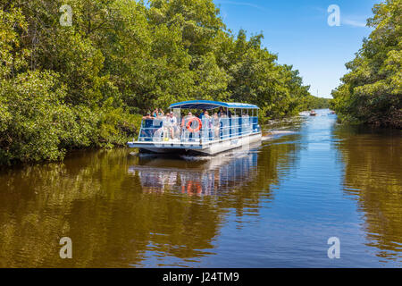 Tour boat on the Buttonwood Canal in the Flamingo area of Everglades National Park Florida Stock Photo