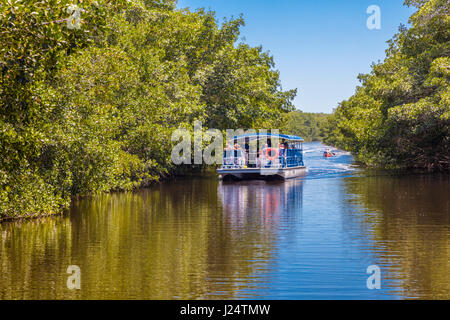Tour boat on the Buttonwood Canal in the Flamingo area of Everglades National Park Florida Stock Photo
