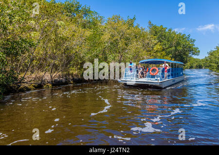 Tour boat on the Buttonwood Canal in the Flamingo area of Everglades National Park Florida Stock Photo