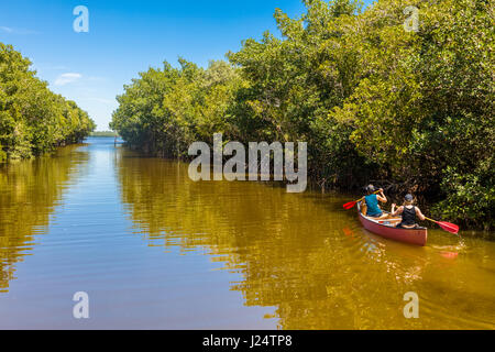 Canoeing on the Buttonwood Canal in the Flamingo area of Everglades National Park Florida Stock Photo