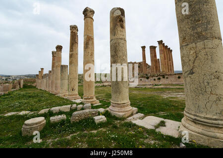 Roman pillars around the temple of Artemis The ancient Roman city of Jerash in Jordan. Stock Photo