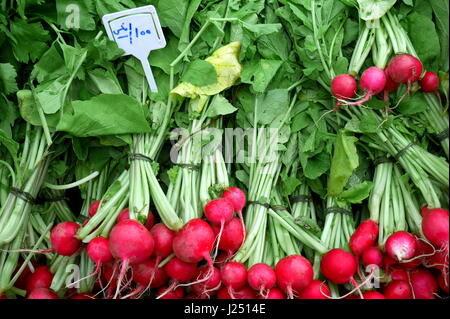 Bunches of radishes on sale at Budaiya Farmers' Market, Kingdom of Bahrain Stock Photo