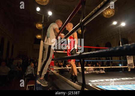White Collar Fight Club, white-collate boxing event at Stratford Town Hall organised by London-based City Warriors boxing club, England, UK Stock Photo