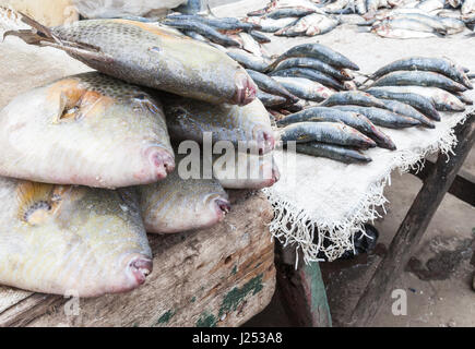 Fresh seafood at the fish market in Senegal Stock Photo