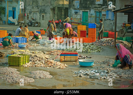 Women sorting fish on the quayside for sale at the nearby market at the port of Vanakbara on Diu Island in Gujarat, India Stock Photo