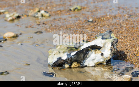 Large rock on a beach at low tide. Stock Photo