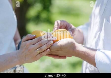 Bride and groom holding in hands two lemons - conceptual image Stock Photo