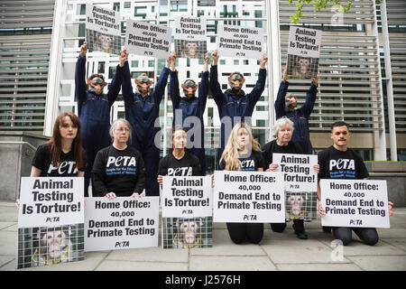 London, UK. 24 April 2017. To mark World Day for Animals in Laboratories, PETA members gathered outside the Home Office wearing monkey masks to protest experimenters' attempts to change the category of suffering assigned to neurological experiments on primates from 'severe' to 'moderate'. A letter with more than 40,000 signatures was delivered to the Home Office calling on the government not only to reject attempts to downgrade severity classification but also to end these cruel experiments altogether. Stock Photo