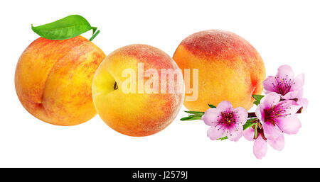 Peach  and peach flowers  isolated on white background Stock Photo