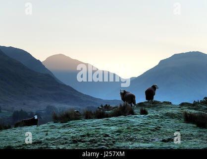 Sun rising on a frosty spring morning in the Englsh Lake District, Wastdale, Cumbria Stock Photo