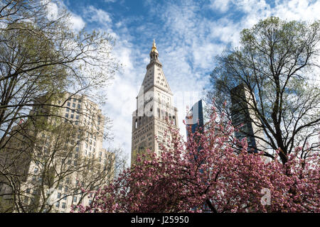 Madison Square Park and MetLife Tower in Springtime, NYC, USA Stock Photo