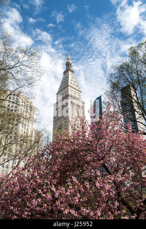 Madison Square Park and MetLife Tower in Springtime, NYC, USA Stock Photo