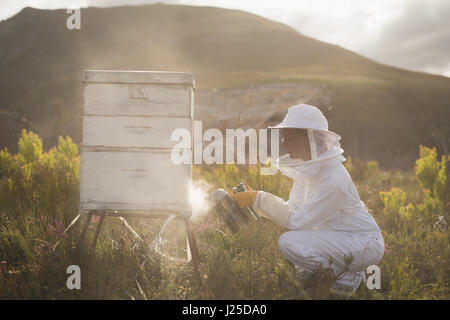Side view of female beekeeper smoking bees in hive on field Stock Photo