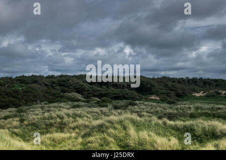 Amazing Jurassic park looking sand dunes on Formby beach, UK Stock Photo