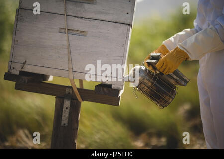 Midsection of female beekeeper smoking bees in honeycomb Stock Photo