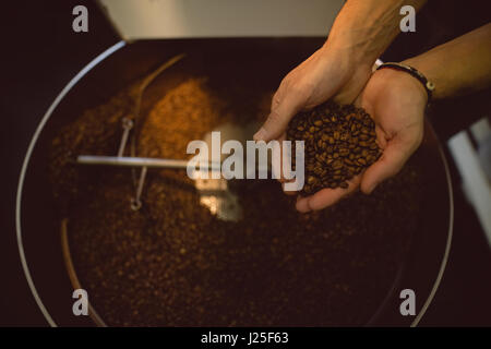 Barista checking coffee beans in roasting machine in coffee shop Stock Photo