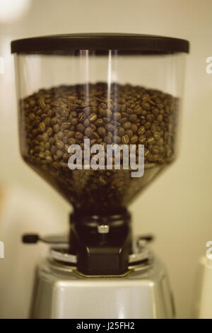 Coffee beans in coffee grinding machine in coffee shop Stock Photo