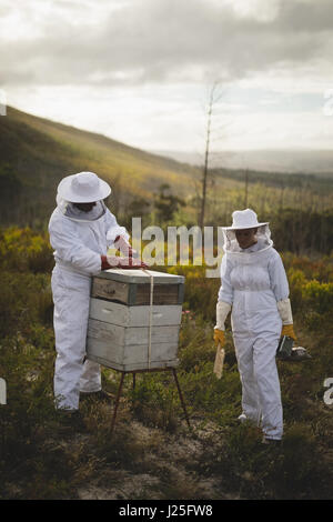 Full length of male and female beekeepers working on beehive at apiary Stock Photo