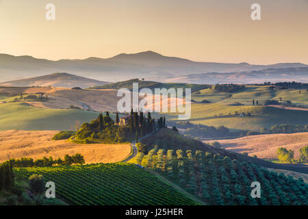 Classic view of scenic Tuscany landscape with famous farmhouse amidst idyllic rolling hills and valleys in beautiful golden morning light at sunrise Stock Photo