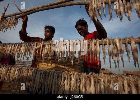 Workers drying fish at the dry fish processing plant at the Dublarchar in the Eastern Division of Sundarbans. Bagerhat, Bangladesh. Stock Photo