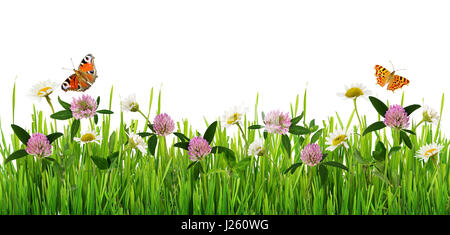 Grass and wild flowers border with butterflies on white background ...