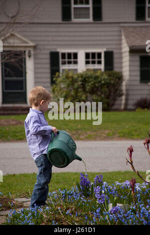 Young Boy Watering Flowers in Front Yard Garden Stock Photo