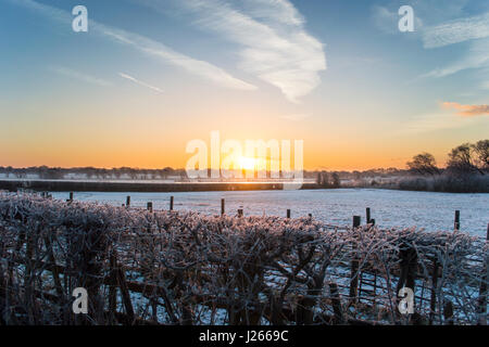 Sunrise over snow covered fields in English countryside Stock Photo