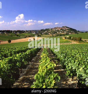 SANCERRE TOWN VIEW VINEYARDS Late afternoon light illuminates view over vineyards leading to the hilltop town of Sancerre, Cher, France. Stock Photo