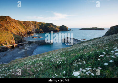 Mullion Cove. The Lizard Peninsula. Cornwall. UK. Stock Photo