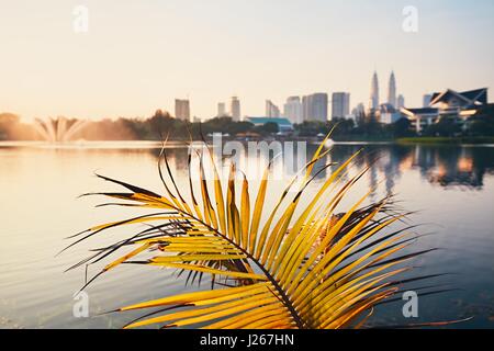 Beautiful morning in public park in Kuala Lumpur. Skyline of the modern city at sunrise. Selective focus on the palm leaf. Stock Photo