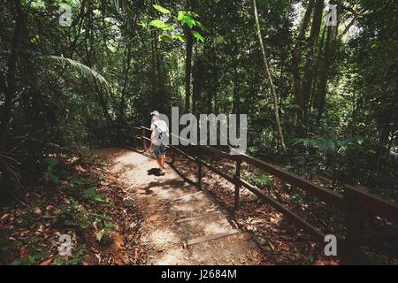 Young man walking into tropical rainforest - Island of Borneo, Malaysia Stock Photo